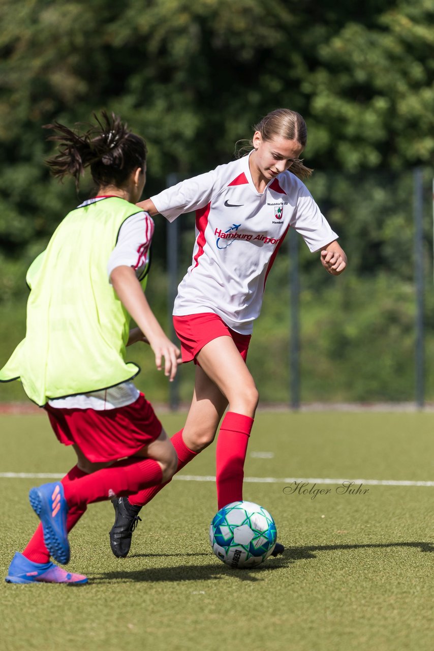 Bild 161 - wCJ Walddoerfer - Concordia : Ergebnis: 0:1